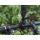 Sunnylife Uniwersalny uchwyt na rower do kamer sportowych - 1509289 - zdjęcie 3